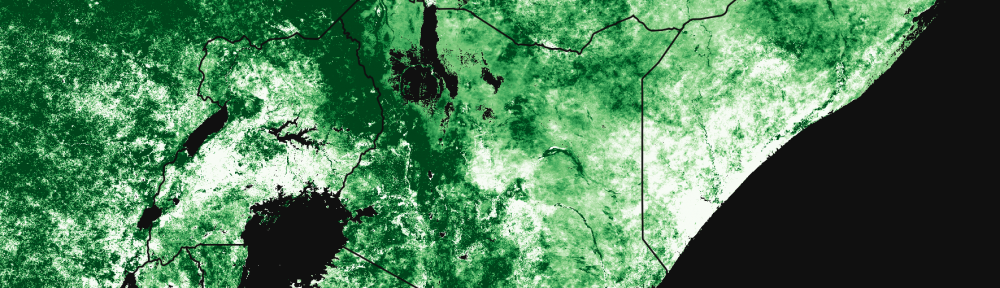 Leaf Area index map for East Africa
