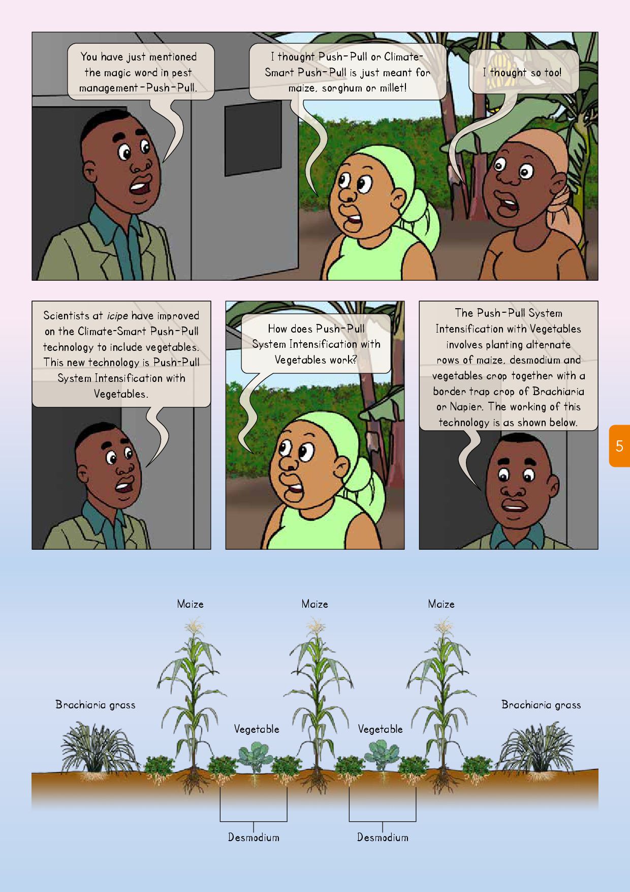 COMIC - Push–Pull System Intensification With Vegetables Upscale-005