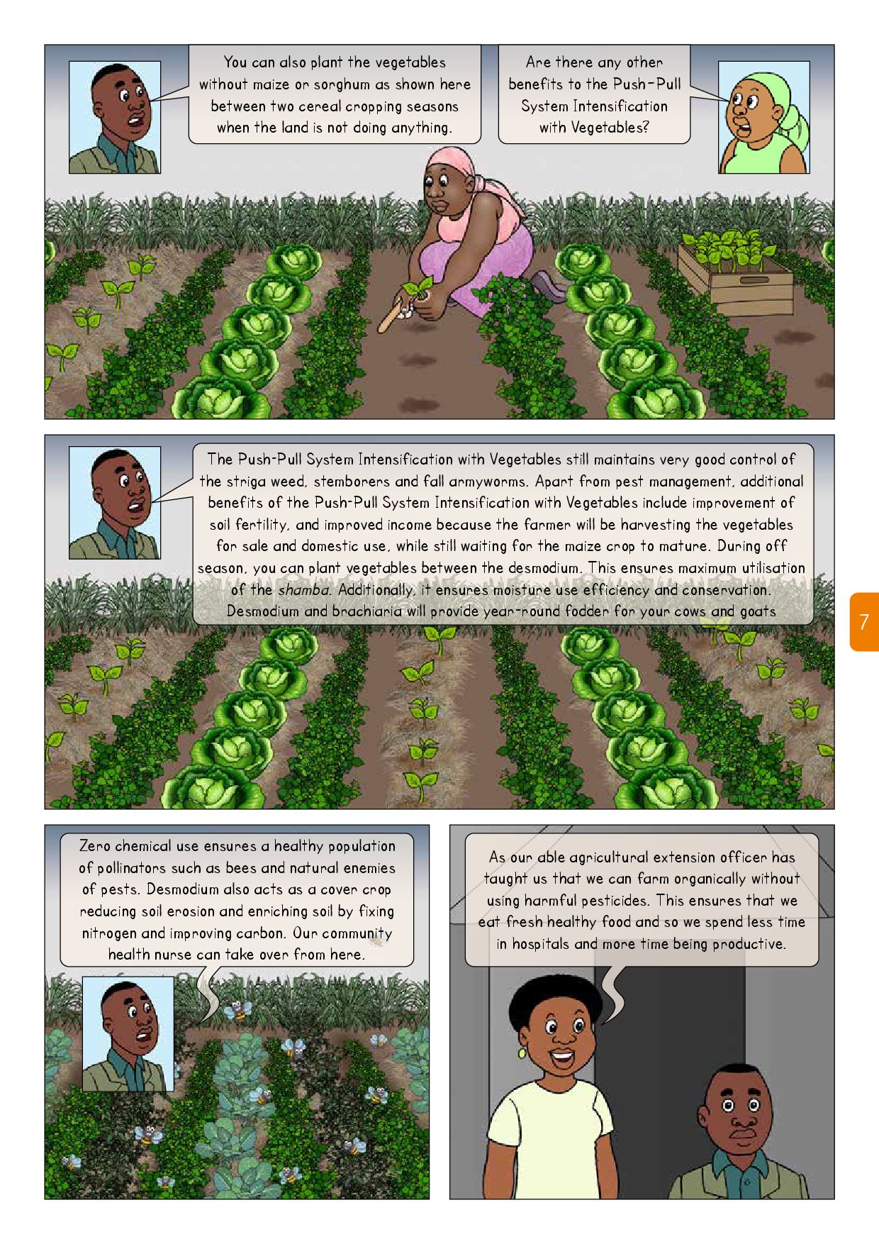 COMIC - Push–Pull System Intensification With Vegetables Upscale-007